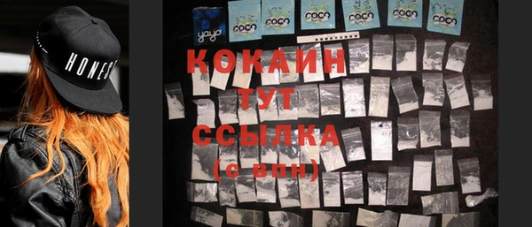 стаф Абаза