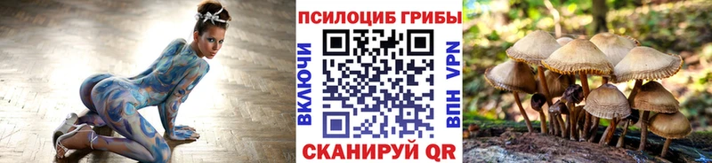 Псилоцибиновые грибы прущие грибы  купить наркотик  Стрежевой 