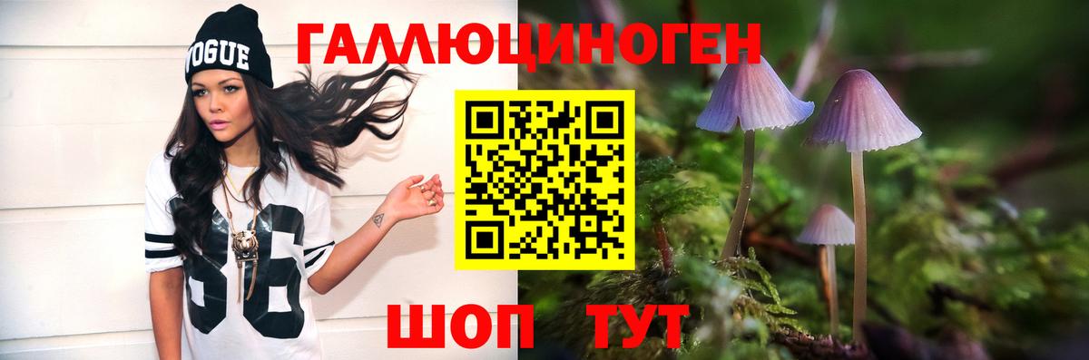 Псилоцибиновые грибы Psilocybine cubensis Стрежевой